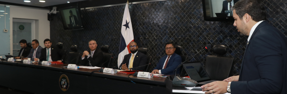 INSTITUCIONES SUSTENTAN SUS MEMORIAS ANUALES 2024