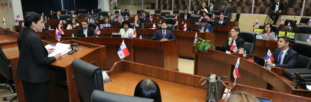 PROPONEN CREAR PATRONATOS PARA PRESERVAR LA CULTURA Y EL ARTE EN PANAMÁ