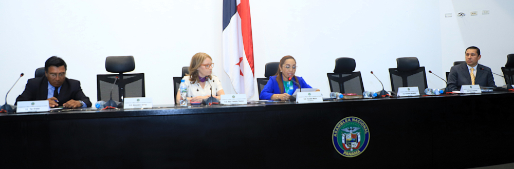 ANANLIZAN A SITUACIÓN DE NIÑOS Y ADOLESCENTES EN PANAMÁ