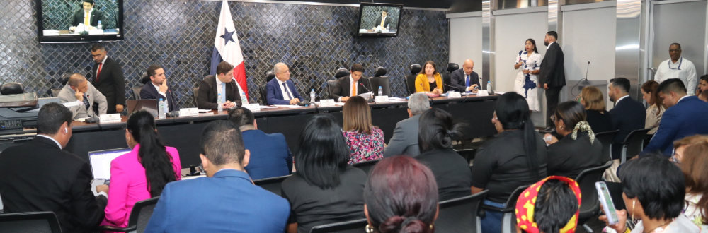 COMISIÓN DE GOBIERNO ABORDÓ LA TRATA DE PERSONAS Y LA UTLIZACIÓN DE CÁMARAS CORPORALES PARA LA POLICÍA  