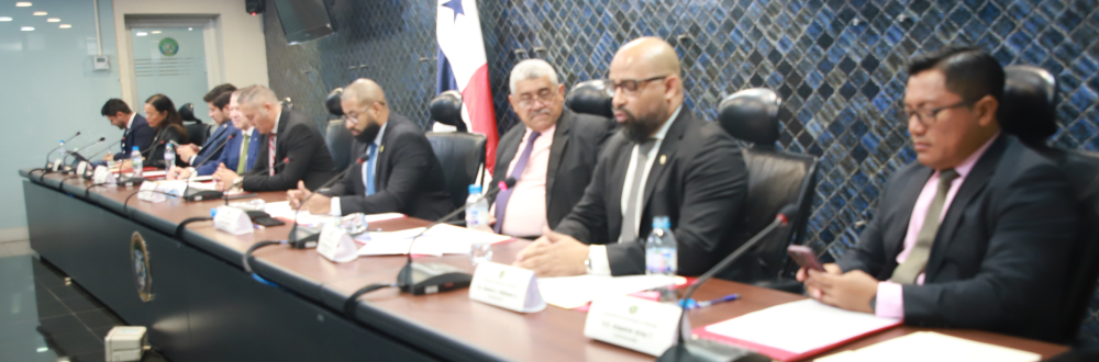 APRUEBAN EN PRIMER DEBATE REESTABLECER LEY 3 DE INTERESES PREFERENCIALES 