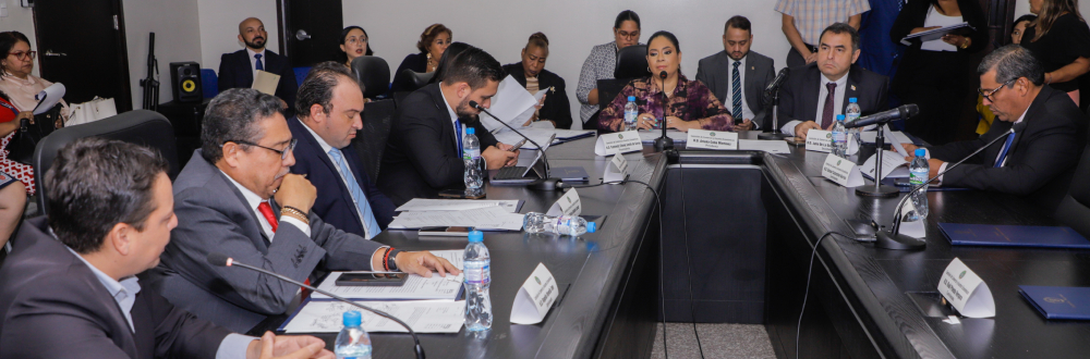 COMISIÓN DE COMERCIO APROBÓ PROYECTOS QUE FORTALECEN LA MICROEMPRESA Y EL TURISMO 