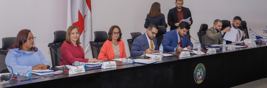 PROHÍJAN  PROYECTOS DE LEY SOBRE SALUD PÚBLICA  