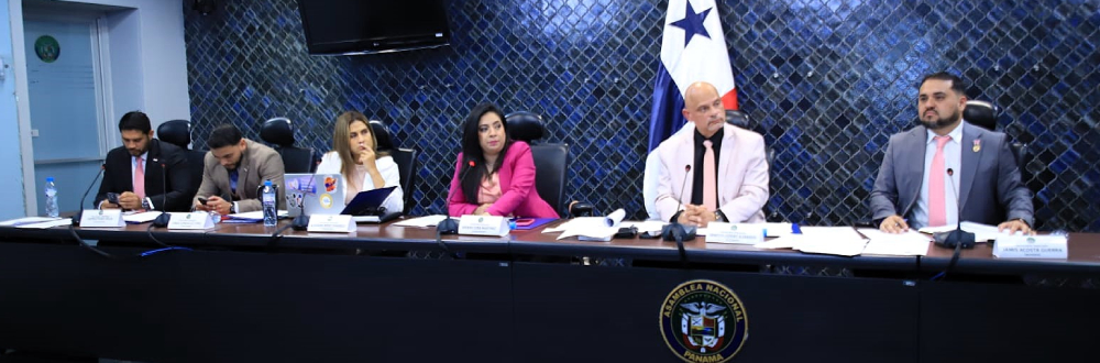 BUSCAN REFORMAR LEY DE LOS ARTESANOS EN PANAMÁ