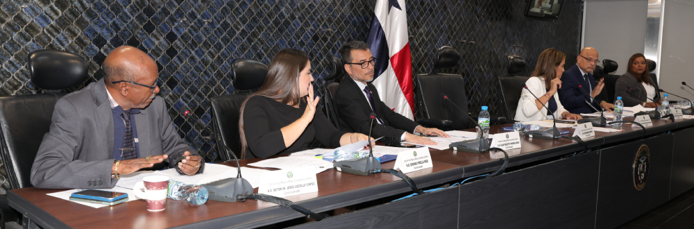 MODIFICAN ARTÍCULO DEL PROYECTO DE PENSIÓN ALIMENTICIA 