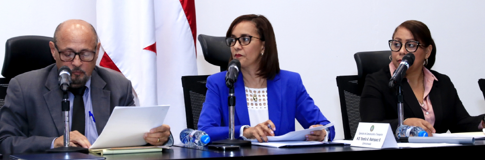 FINALIZA CONSULTAS SOBRE USO OBLIGATORIO DE SILLAS DE RETENCIÓN INFANTIL 