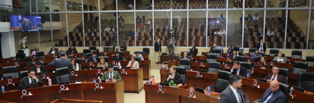 BUSCAN MODERNIZAR LA CARRERA DIPLOMÁTICA Y CONSULAR